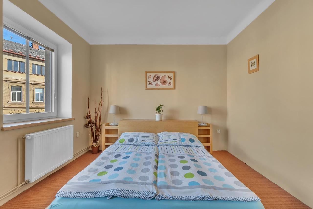 Apartman U Javorky Lázně Bělohrad Exteriör bild